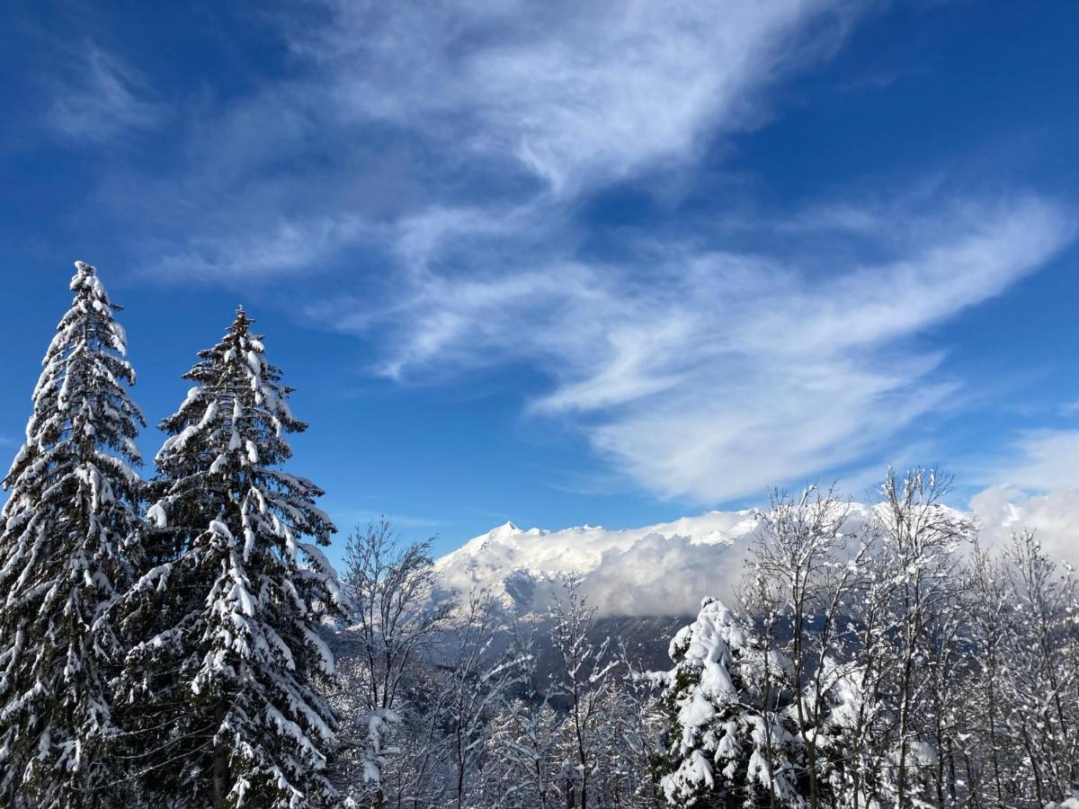 Il Ciapine Bed & Breakfast Giaveno Exterior foto
